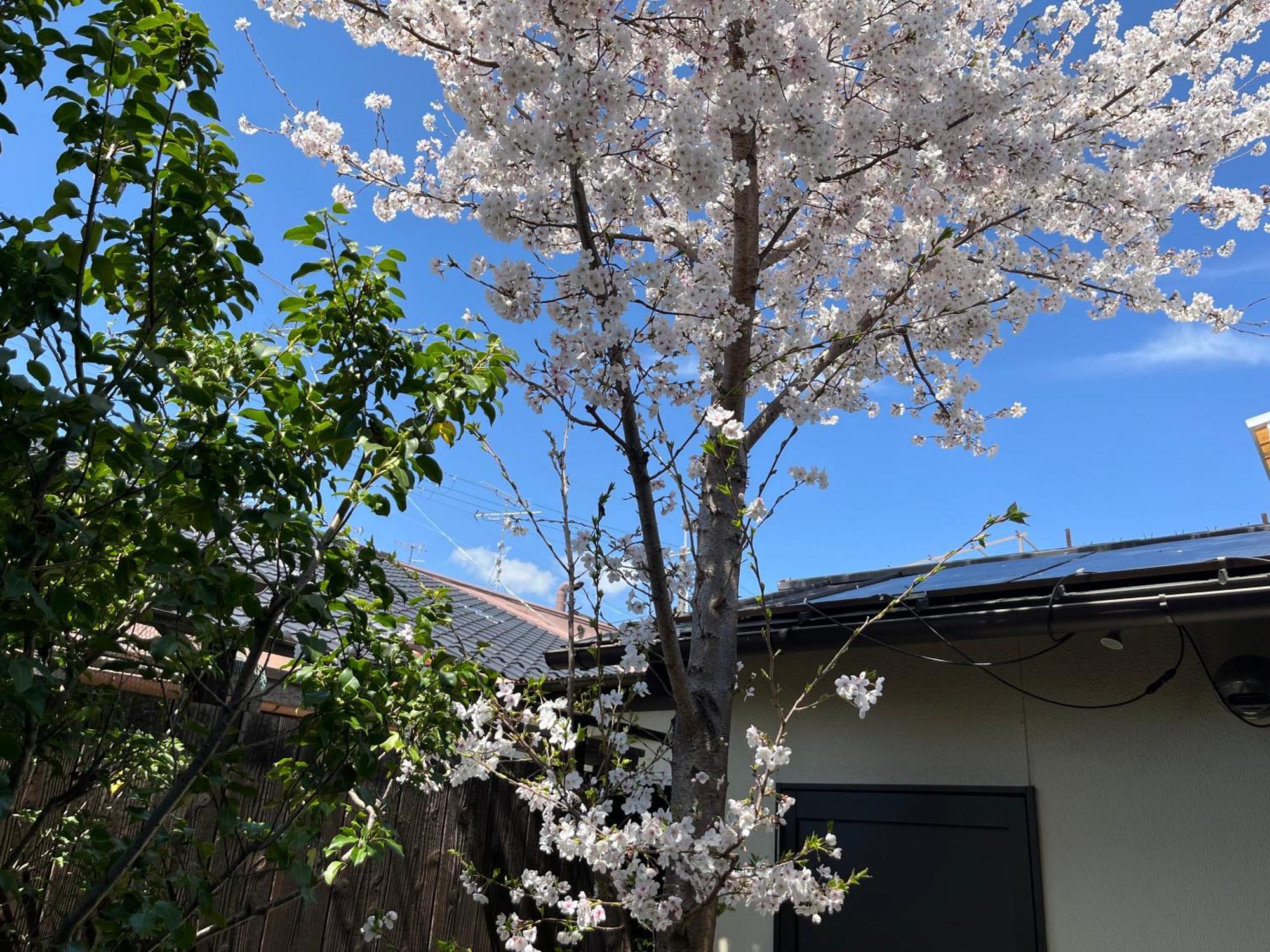 Nishijin No Sato 西陣之郷 -100 Yrs Smart & Sustainable Ai Arthouse With 10gbps Wifi - Casa vacanze Kyōto