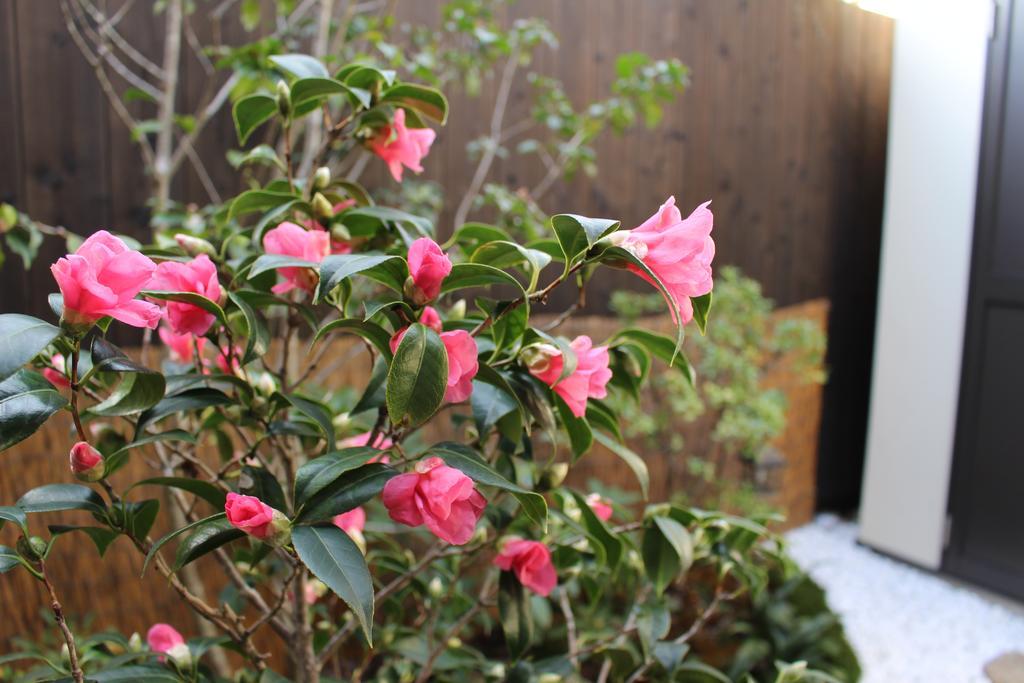 Casa vacanze Nishijin No Sato 西陣之郷 -100 Yrs Smart & Sustainable Ai Arthouse With 10gbps Wifi - *